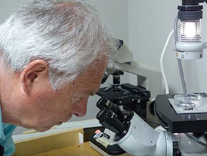 LSM 17-0319-korbelik-edited