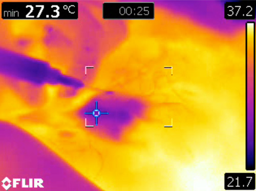 lsm23377-fig-0003-m (2)