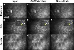 lsm23410-fig-0005-m (1)