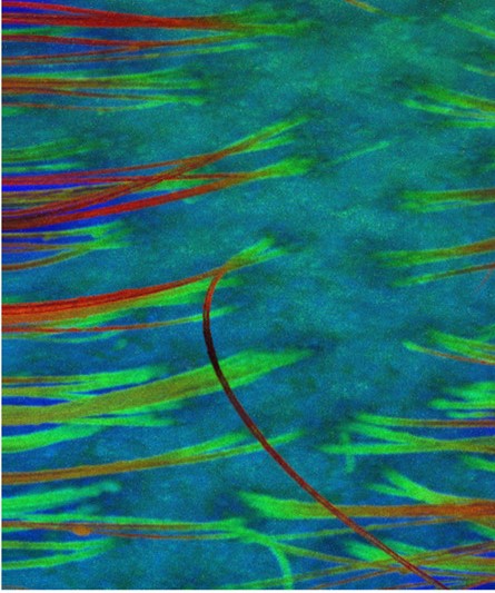 October2020-EC-cropped